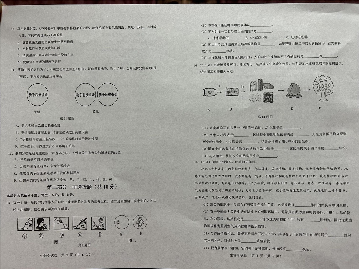 辽宁省营口市盖州市2024-2025学年七年级上学期1月期末生物试题第2页