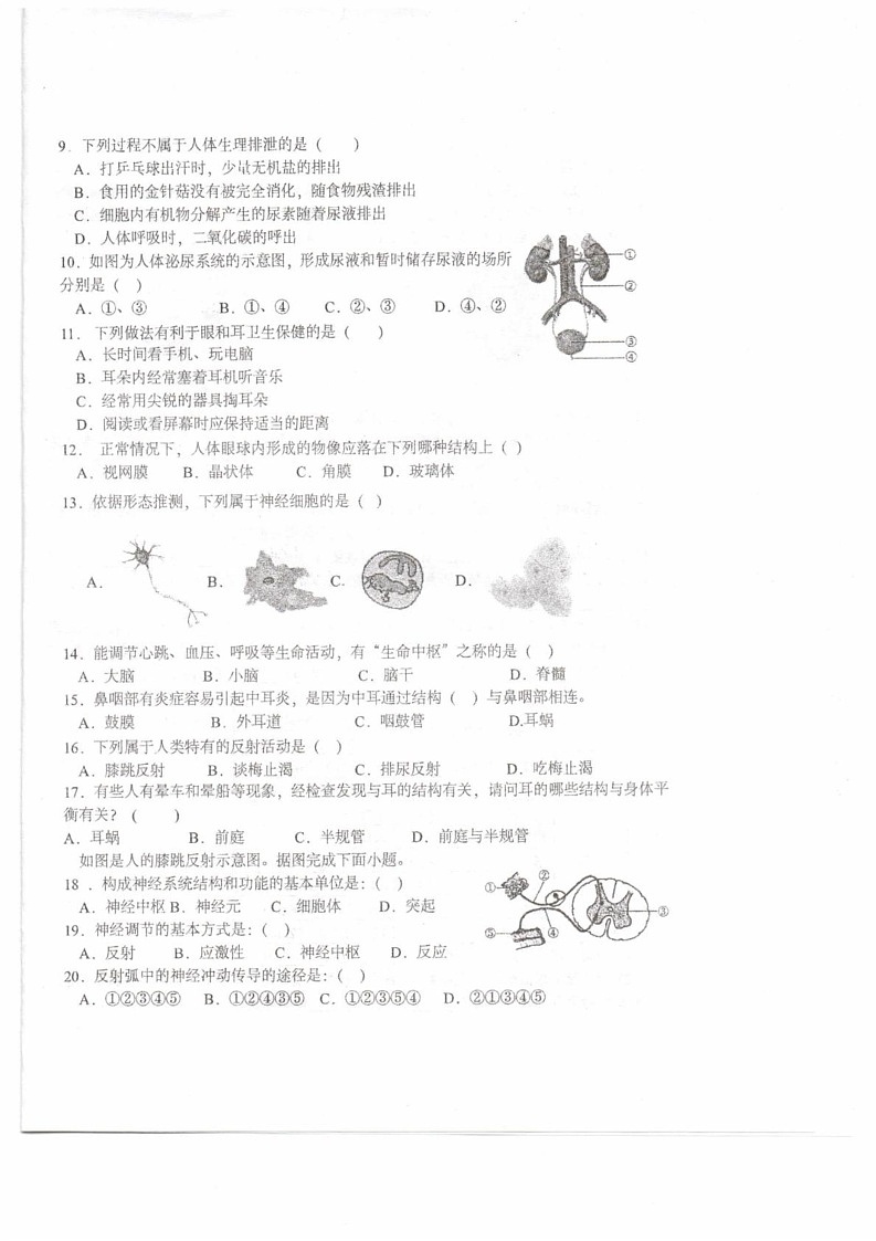 宁夏中卫市中宁县2024-2025学年八年级上学期1月期末生物试题第2页