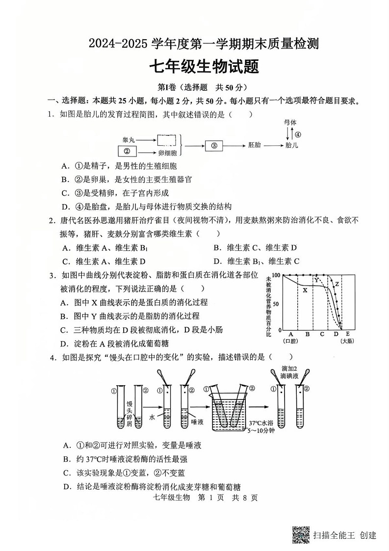 山东省济宁市任城区2024-2025学年七年级上学期期末质量检测生物试题第1页