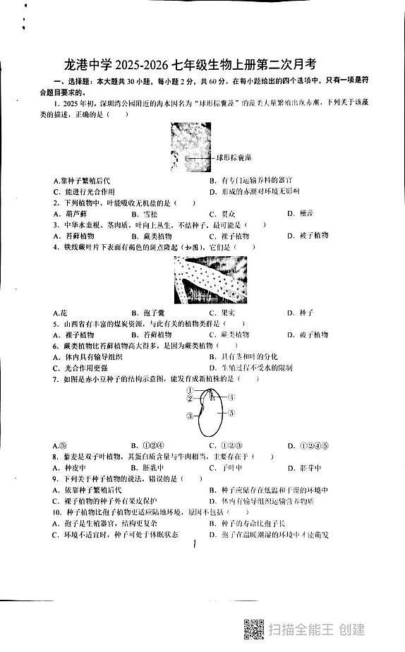 广东省汕头市潮阳区龙港初级中学2025-2026学年七年级上学期第二次月考生物试卷第1页