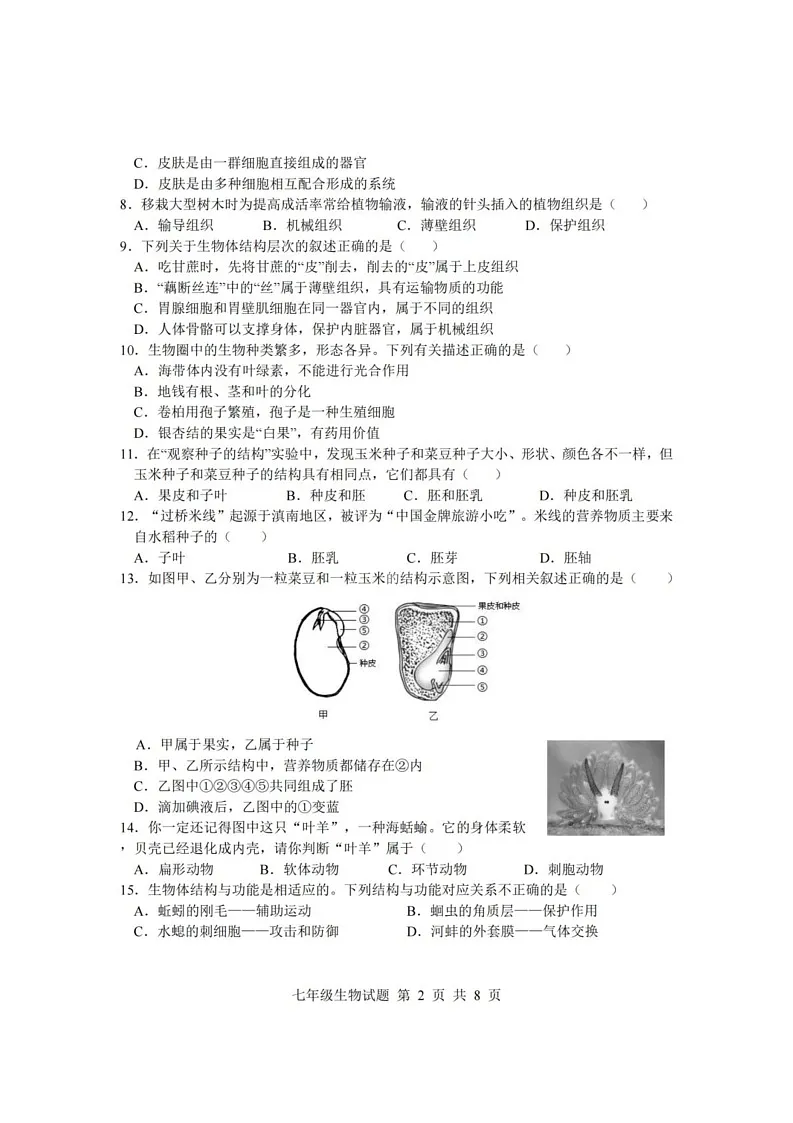 山东省临沂市莒南县2024-2025学年七年级上学期1月期末生物试题第2页