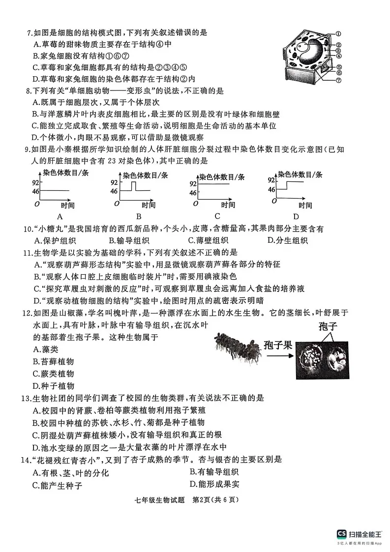 山东省曲阜市2024-2025学年七年级上学期期末考试生物试卷第2页