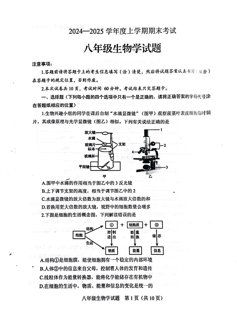 山东省泰安市肥城市2024-2025学年八年级上学期1月期末考试生物试题第1页