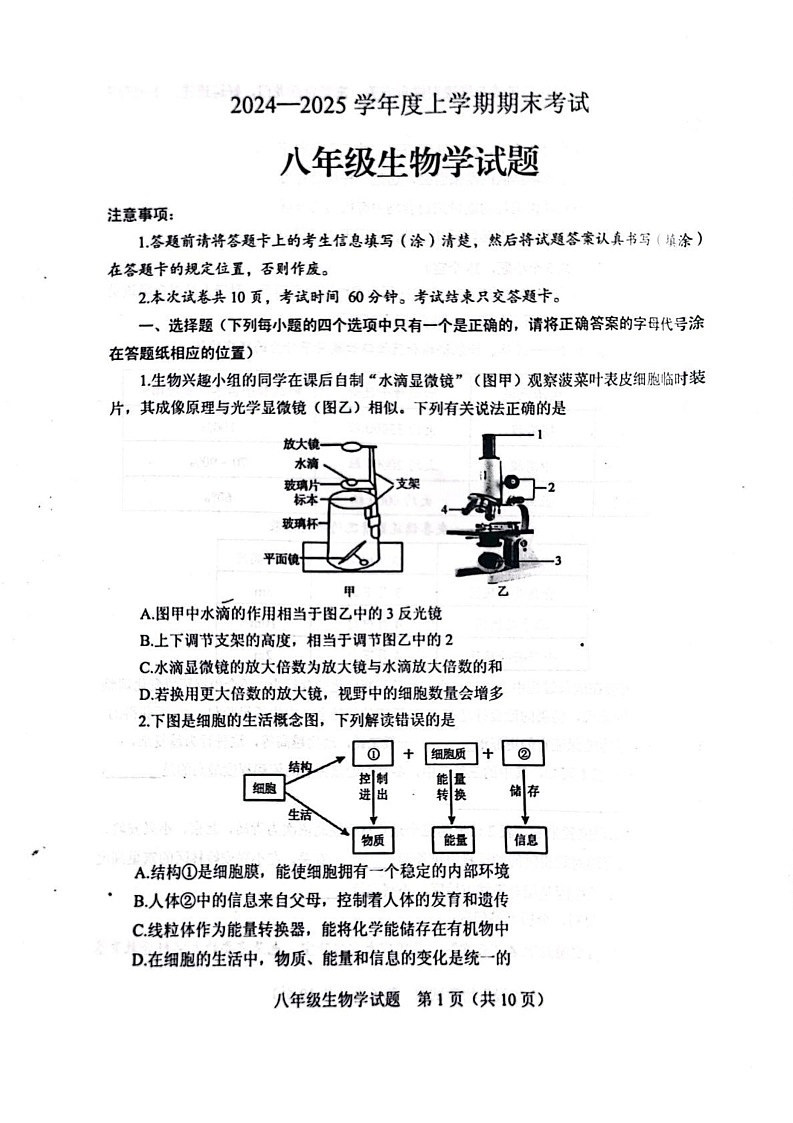 山东省泰安市肥城市2024-2025学年八年级上学期1月期末考试生物试题第1页
