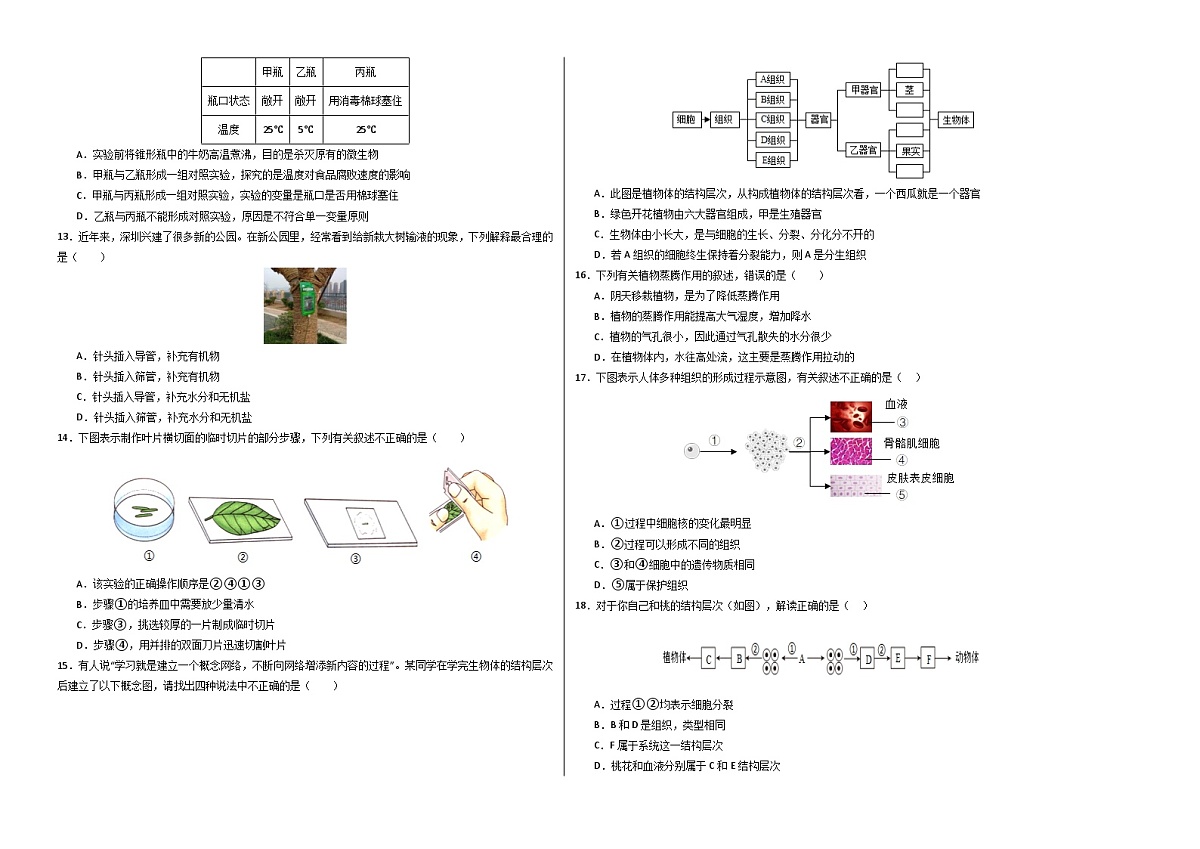 北师大版2025-2026学年七年级上册期末模拟测试生物卷第2页