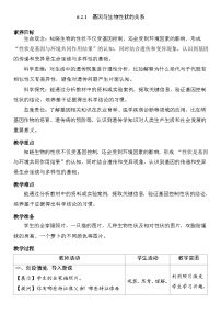 人教版（2024）八年级下册（2024）第一节 基因与生物性状的关系表格教案及反思