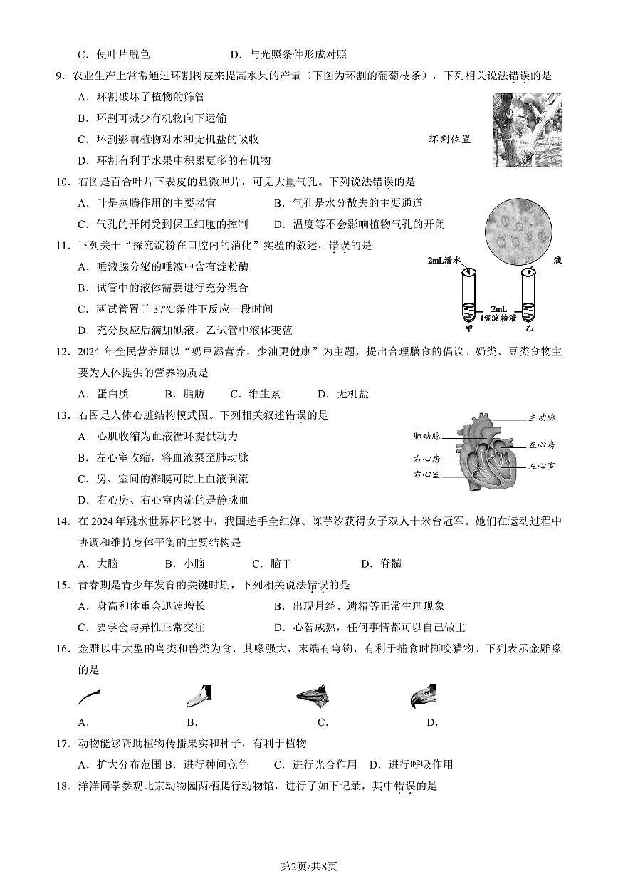 2024北京西城初中学业水平考试生物试卷（教师版）第2页