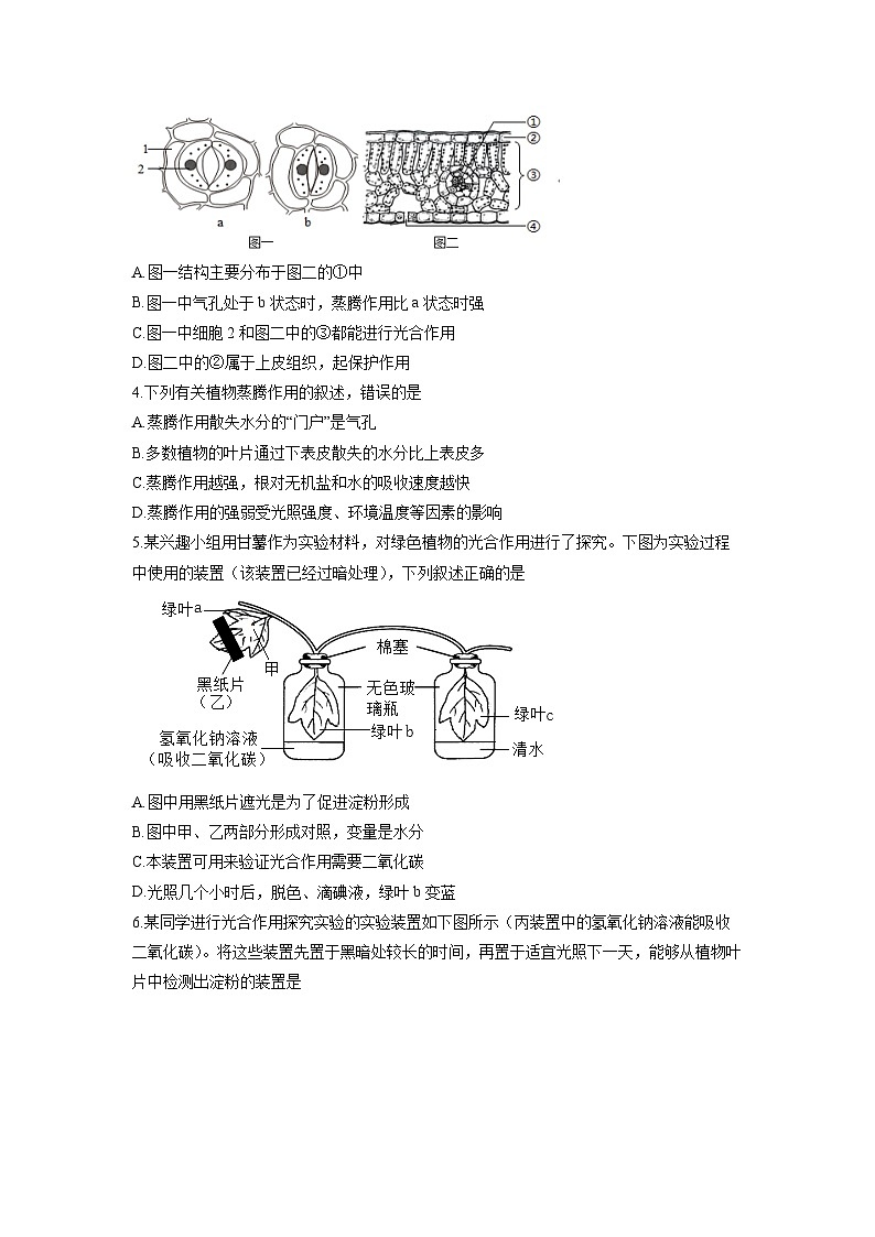 山东省滨州市滨州经济技术开发区2025-2026学年七年级上学期期中生物试卷（学生版）第2页