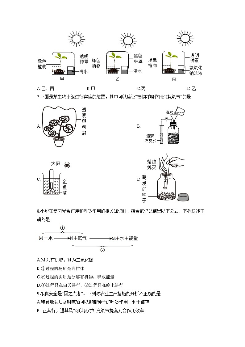 山东省滨州市滨州经济技术开发区2025-2026学年七年级上学期期中生物试卷（学生版）第3页