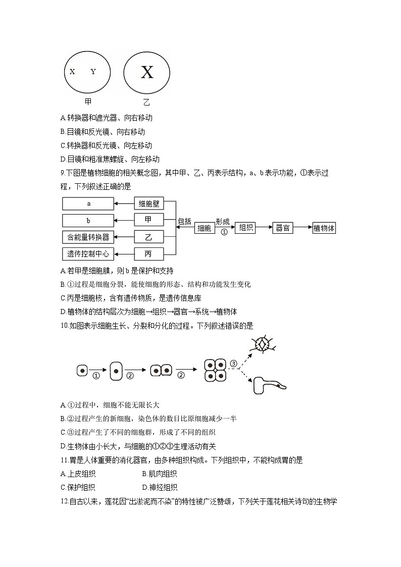 山东省滨州市惠民县2025-2026学年七年级上学期期中生物试卷（学生版）第3页