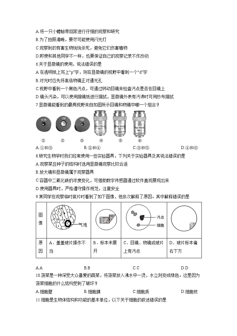 山东省滨州市无棣县2025-2026学年七年级上学期期中生物试卷（学生版）第2页