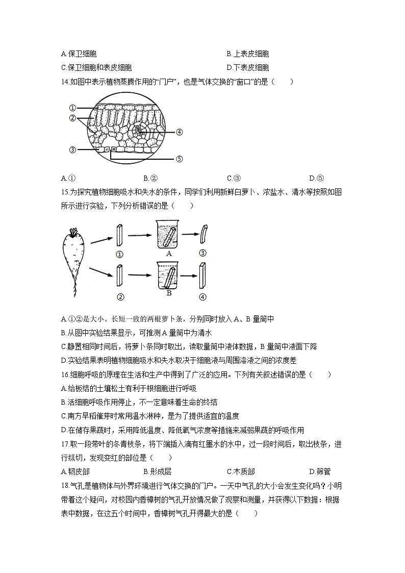 河北省廊坊市固安县2025-2026学年七年级上学期12月月考生物试卷（学生版）第3页