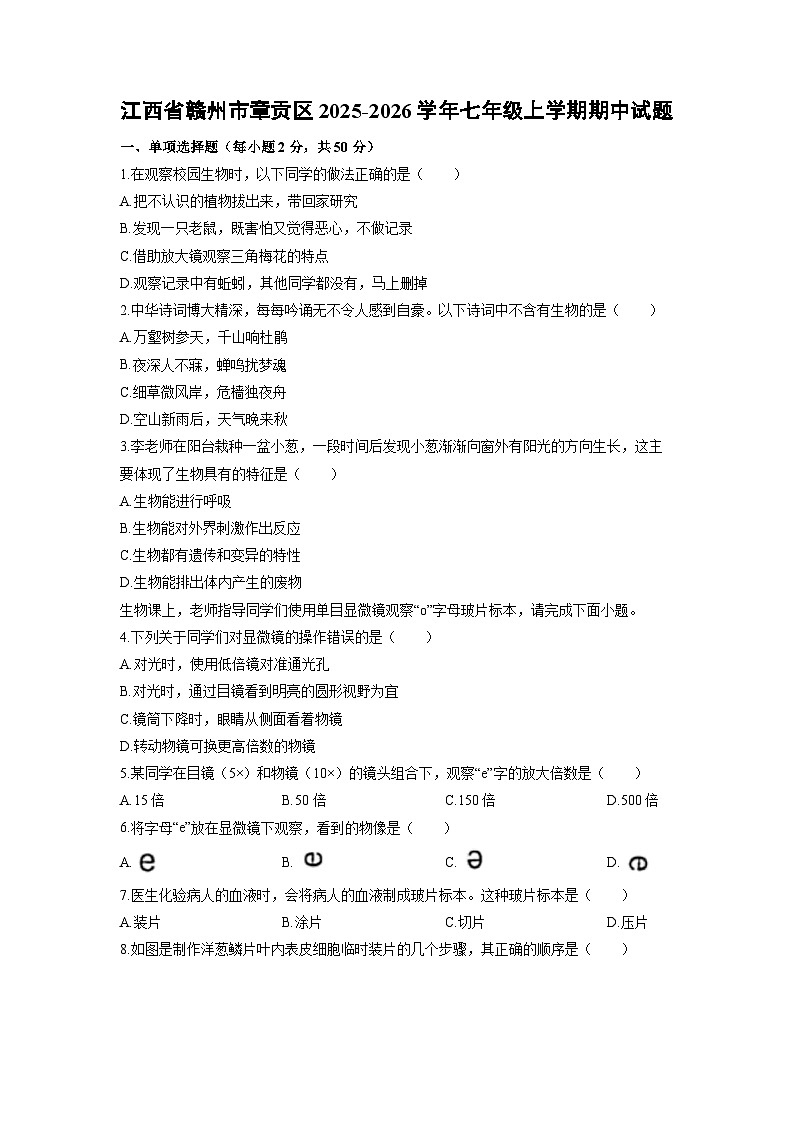 江西省赣州市章贡区2025-2026学年七年级上学期期中生物试卷（学生版）第1页