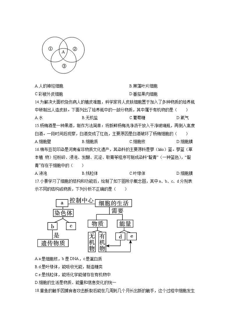 江西省赣州市章贡区2025-2026学年七年级上学期期中生物试卷（学生版）第3页