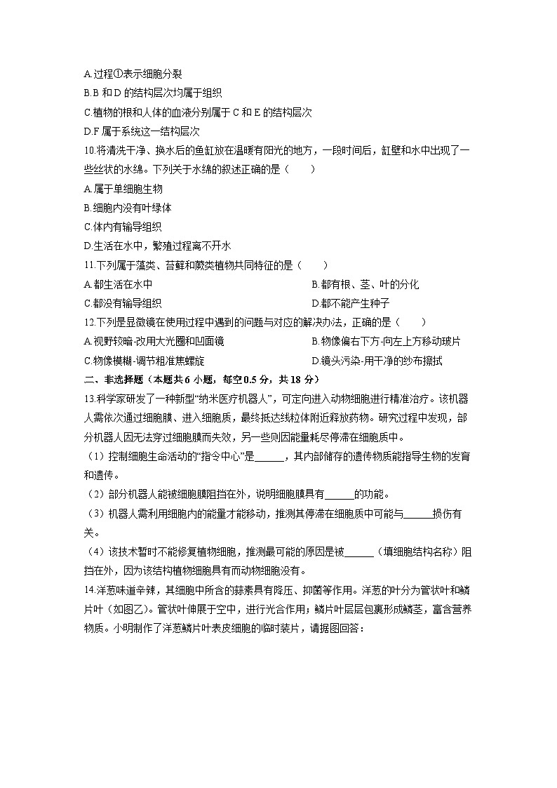 辽宁省沈阳市新民市2025-2026学年七年级上学期期中生物试卷（学生版）第2页