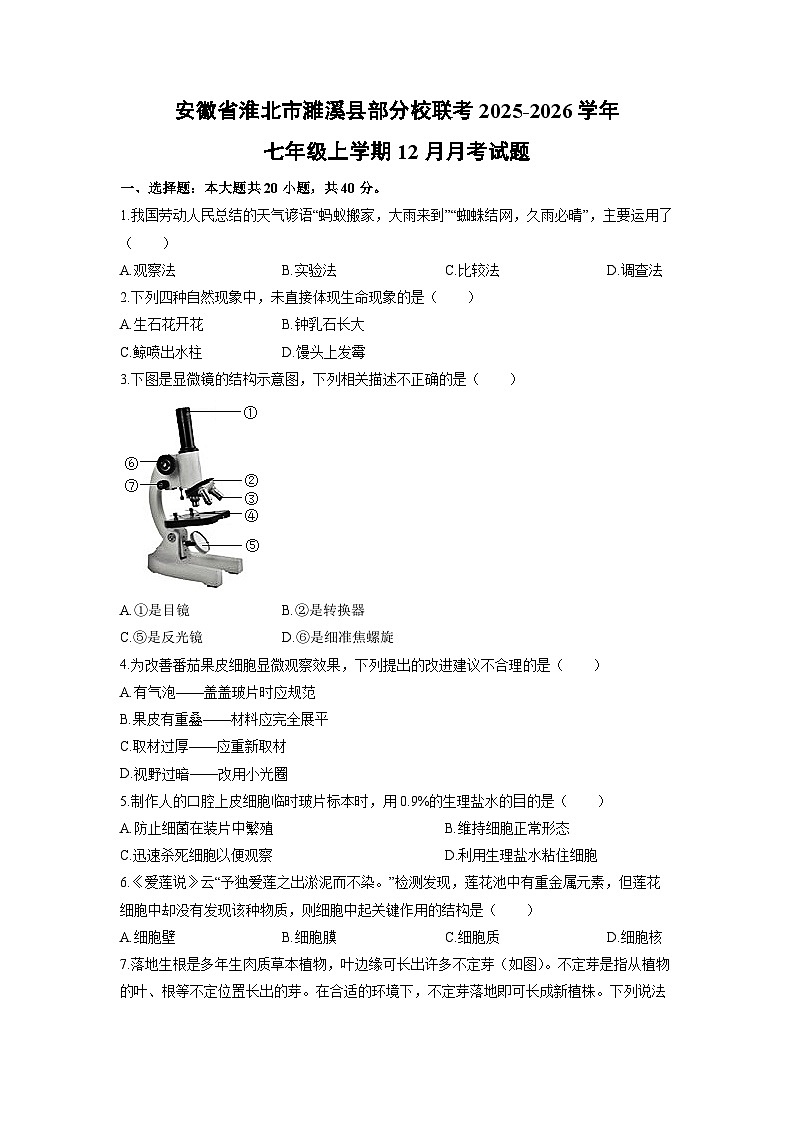安徽省淮北市濉溪县部分校联考2025-2026学年七年级上学期12月月考生物试卷（学生版）第1页