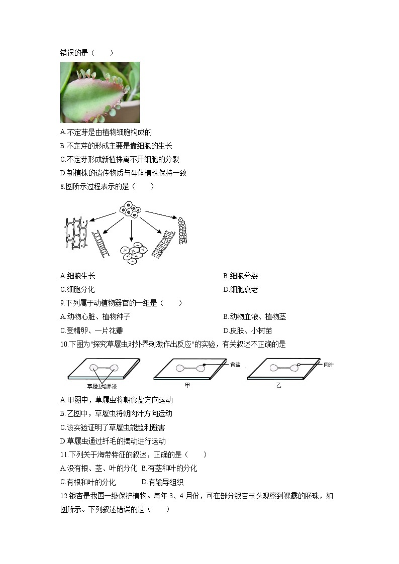 安徽省淮北市濉溪县部分校联考2025-2026学年七年级上学期12月月考生物试卷（学生版）第2页