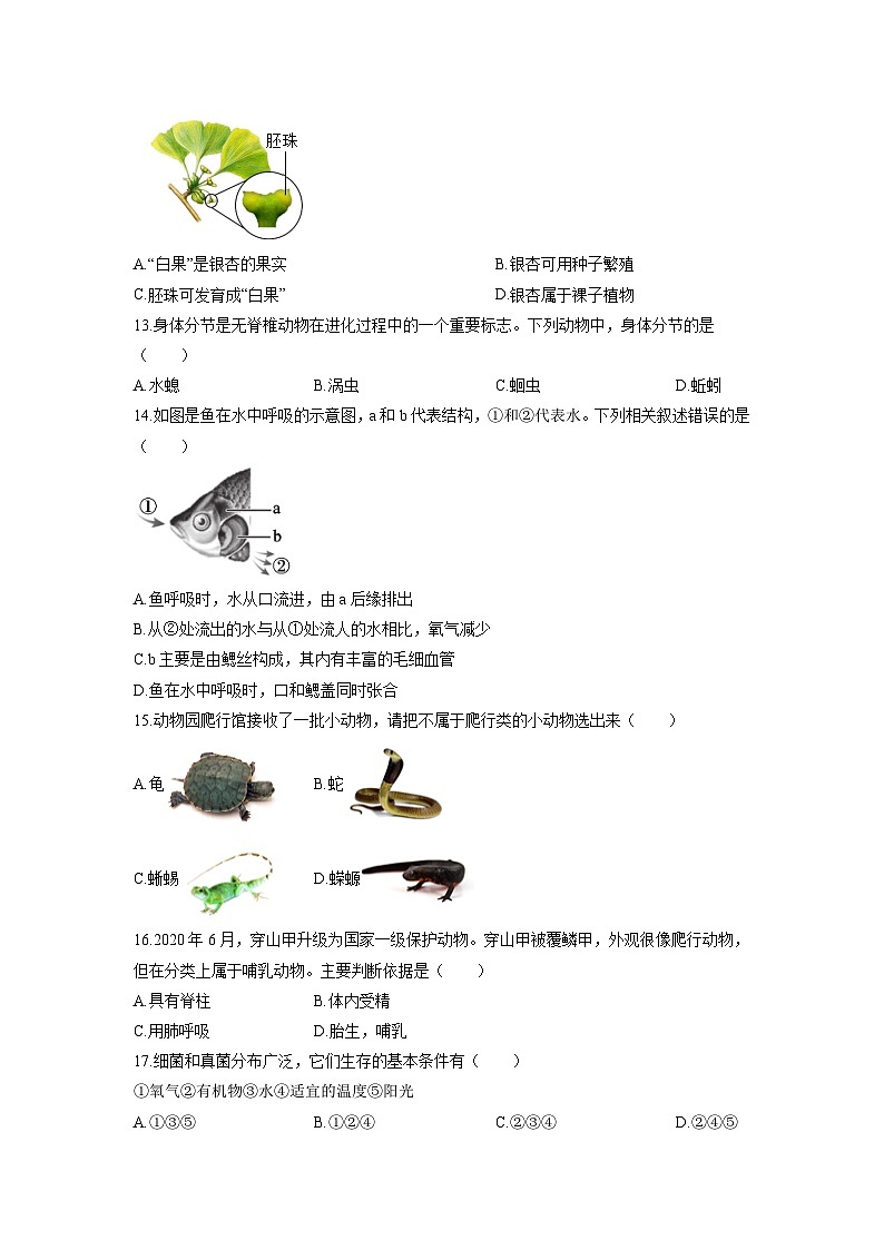 安徽省淮北市濉溪县部分校联考2025-2026学年七年级上学期12月月考生物试卷（学生版）第3页
