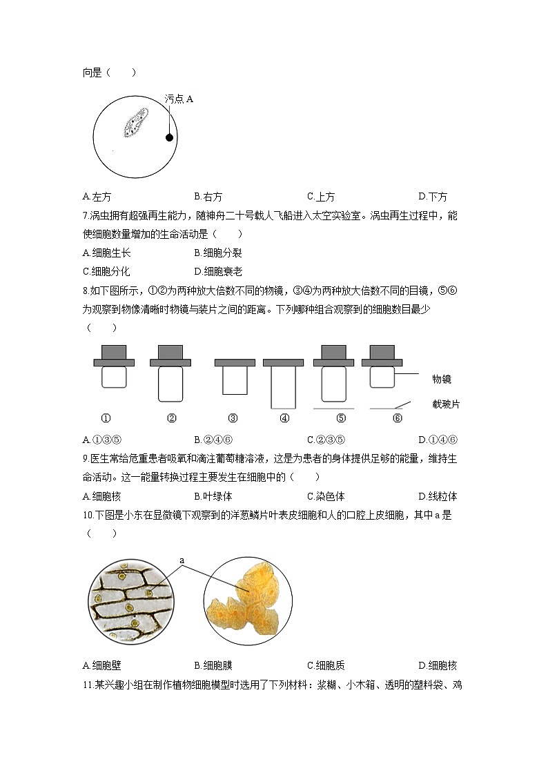 山西省晋中市平遥县2025-2026学年七年级上学期期中生物试卷（学生版）第2页