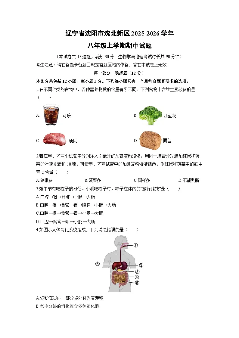 辽宁省沈阳市沈北新区2025-2026学年八年级上学期期中生物试卷（学生版）第1页