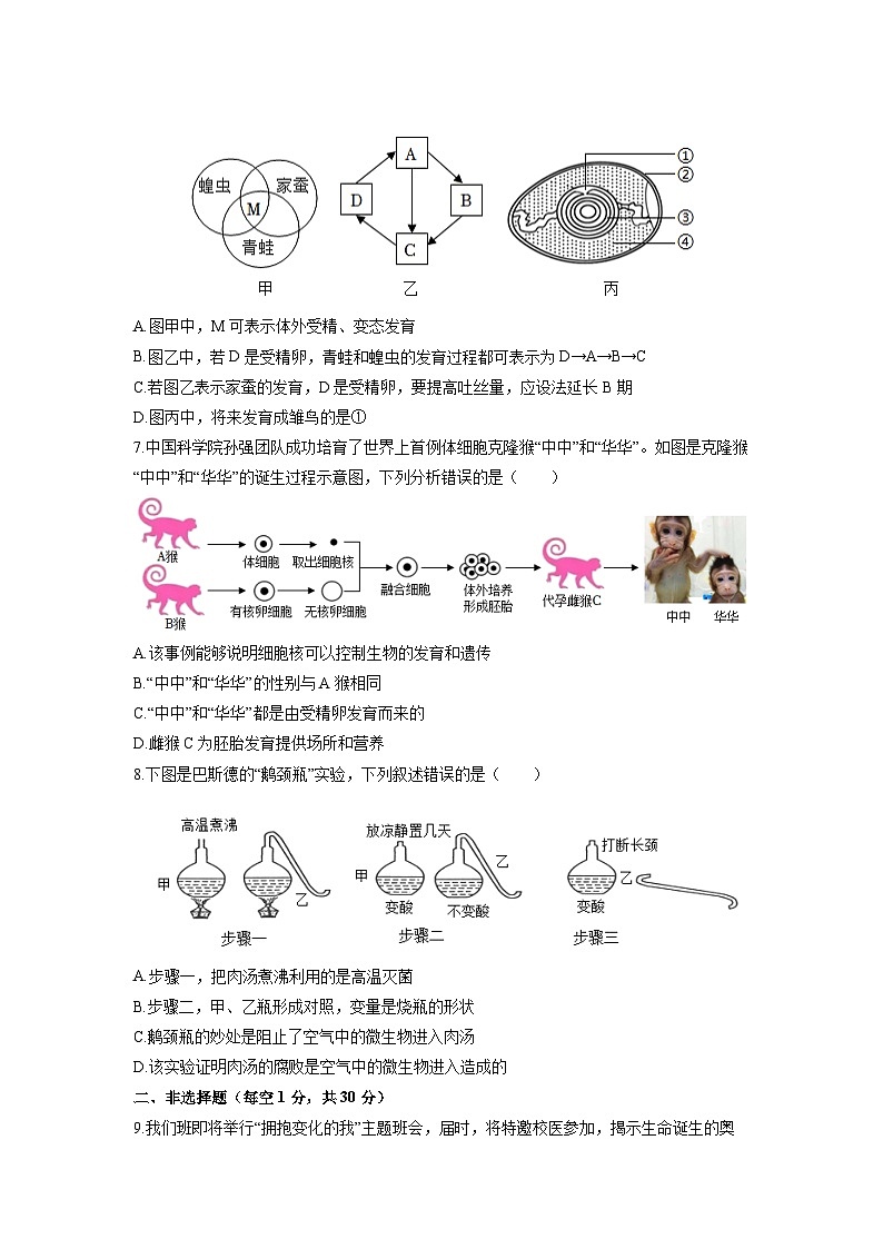 湖北省恩施土家族苗族自治州恩施市多校联考2025-2026学年八年级上学期期中生物试卷（学生版）第3页