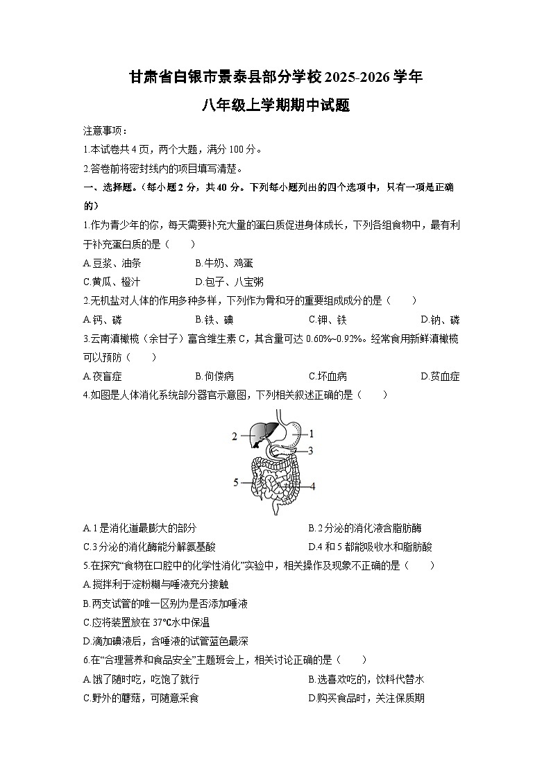 甘肃省白银市景泰县部分学校2025-2026学年八年级上学期期中生物试卷（学生版）第1页