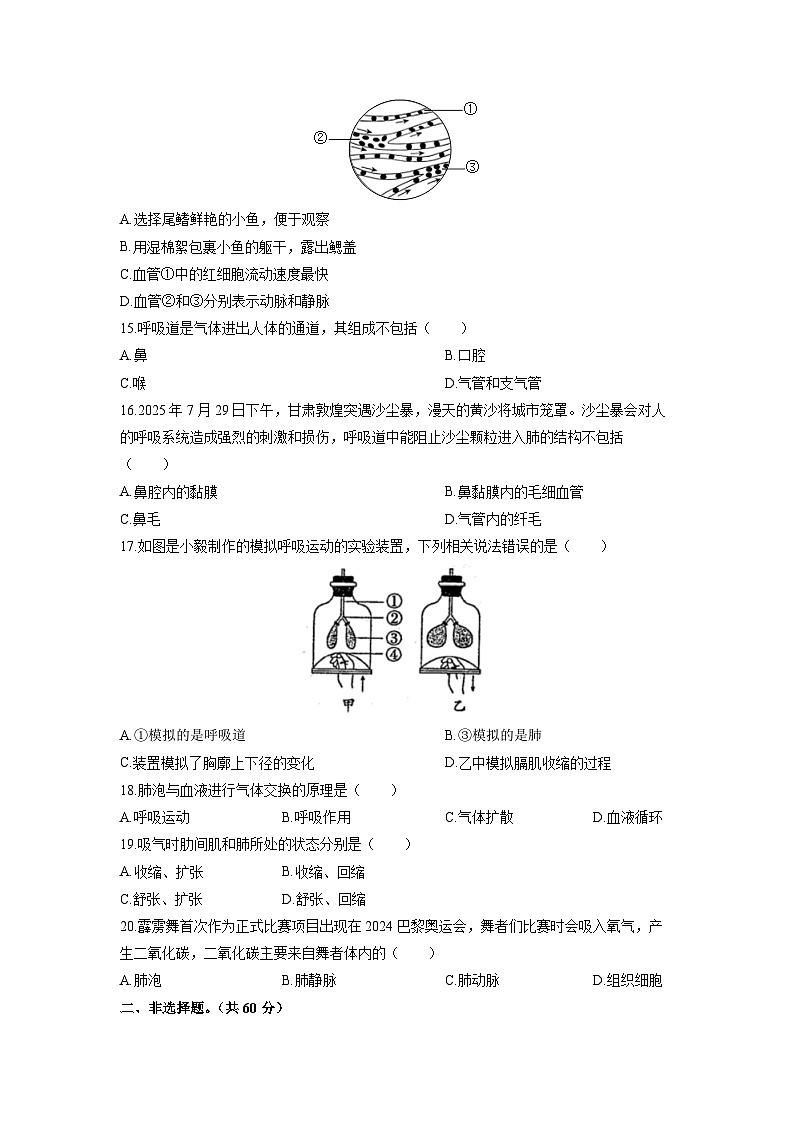 甘肃省白银市景泰县部分学校2025-2026学年八年级上学期期中生物试卷（学生版）第3页