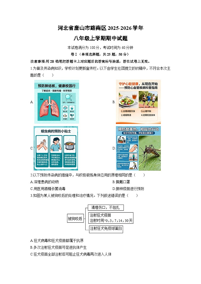 河北省唐山市路南区2025-2026学年八年级上学期期中生物试卷（学生版）第1页