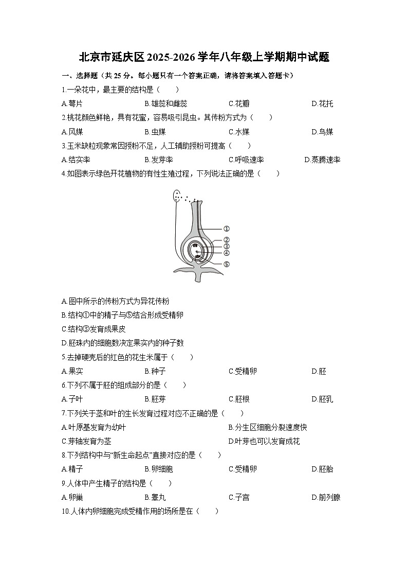 北京市延庆区2025-2026学年八年级上学期期中生物试卷（学生版）第1页