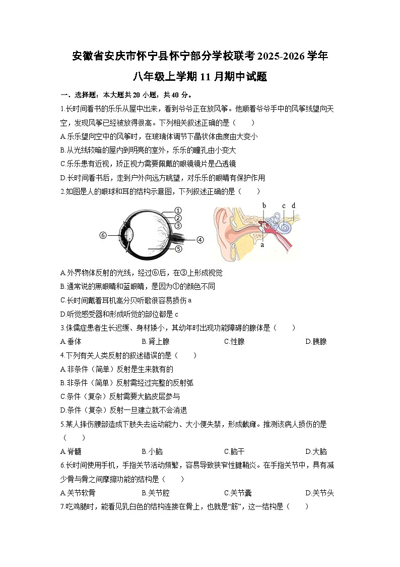 安徽省安庆市怀宁县怀宁部分学校联考2025-2026学年八年级上学期11月期中生物试卷（学生版）第1页