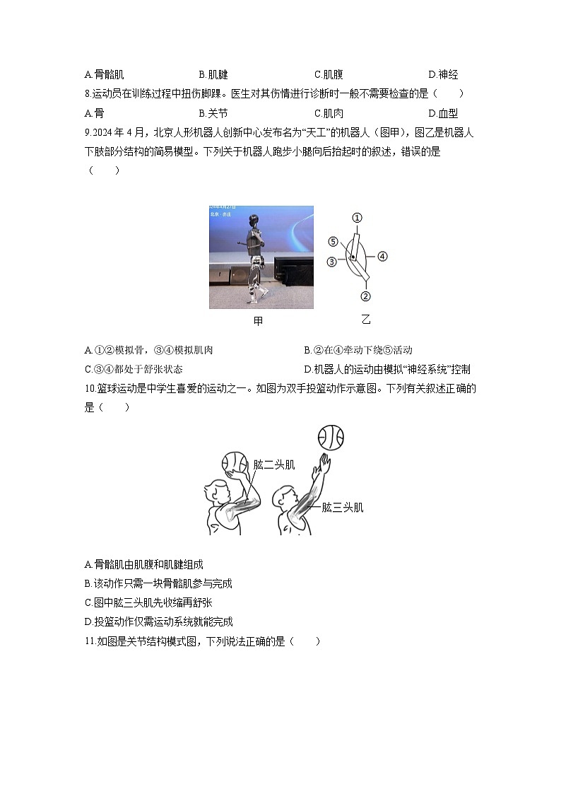安徽省安庆市怀宁县怀宁部分学校联考2025-2026学年八年级上学期11月期中生物试卷（学生版）第2页
