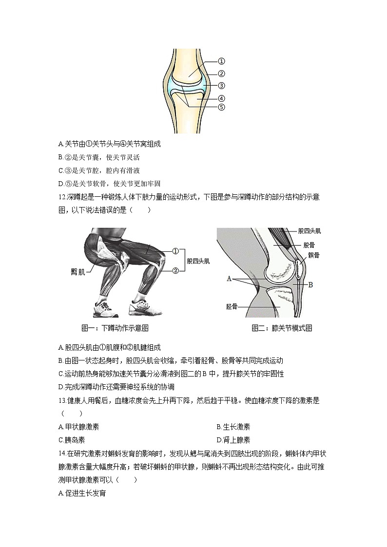 安徽省安庆市怀宁县怀宁部分学校联考2025-2026学年八年级上学期11月期中生物试卷（学生版）第3页