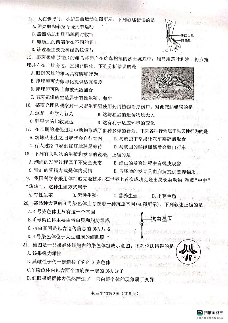 山东省烟台市莱山区（五四制）2024-2025学年八年级上学期期末考试生物试题第3页