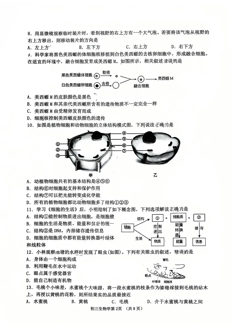 山东省淄博市临淄区2024-2025学年八年级上学期1月期末生物试题第2页