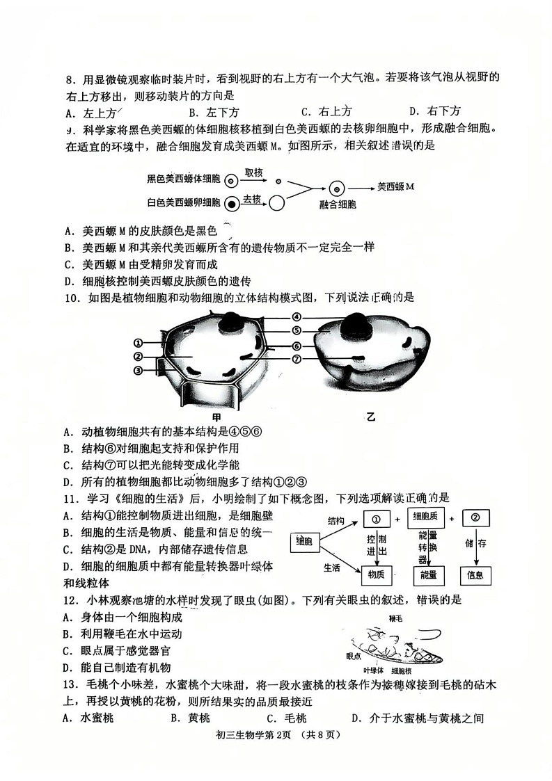 山东省淄博市临淄区2024-2025学年八年级上学期1月期末生物试题第2页