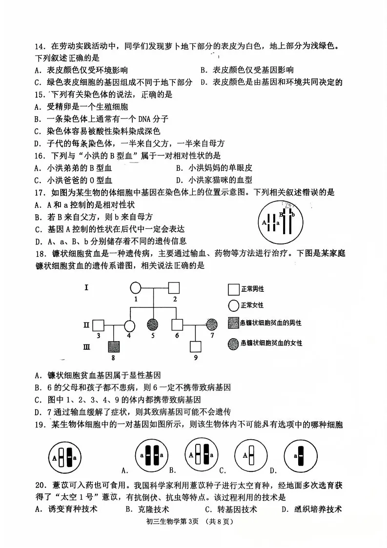 山东省淄博市临淄区2024-2025学年八年级上学期1月期末生物试题第3页