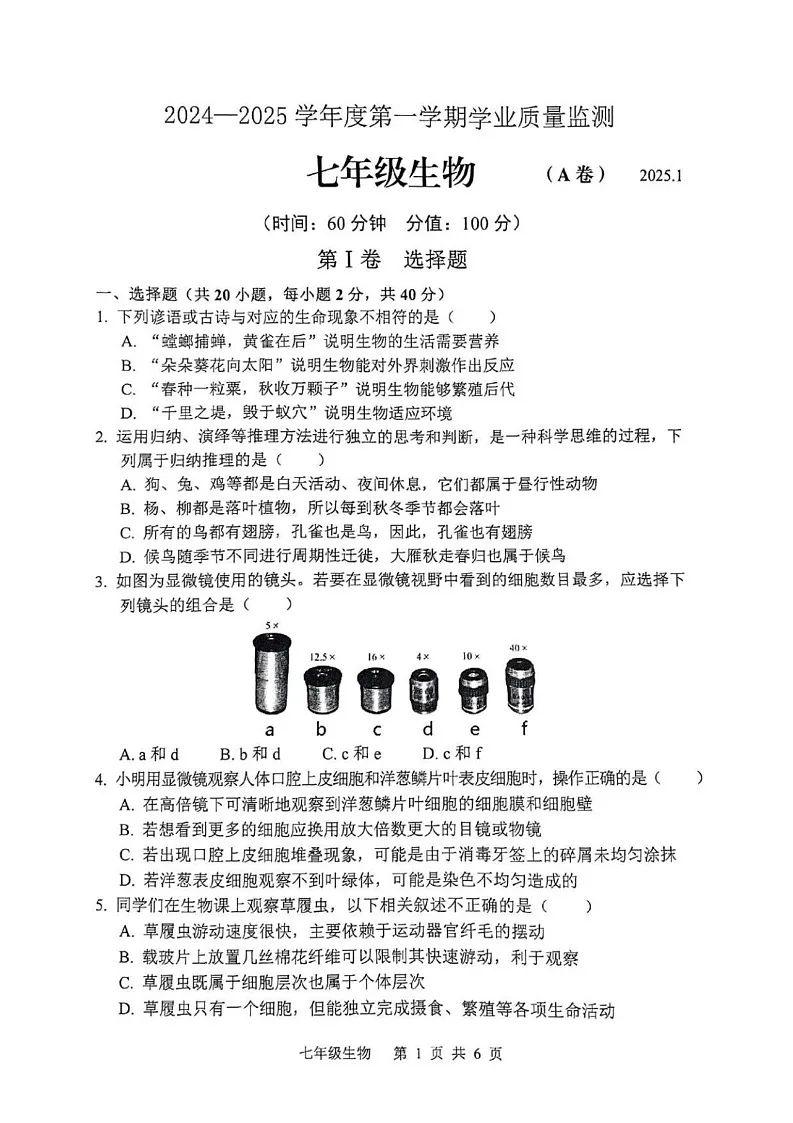 山东省枣庄市山亭区2024-2025学年七年级上学期期末检测生物试卷第1页