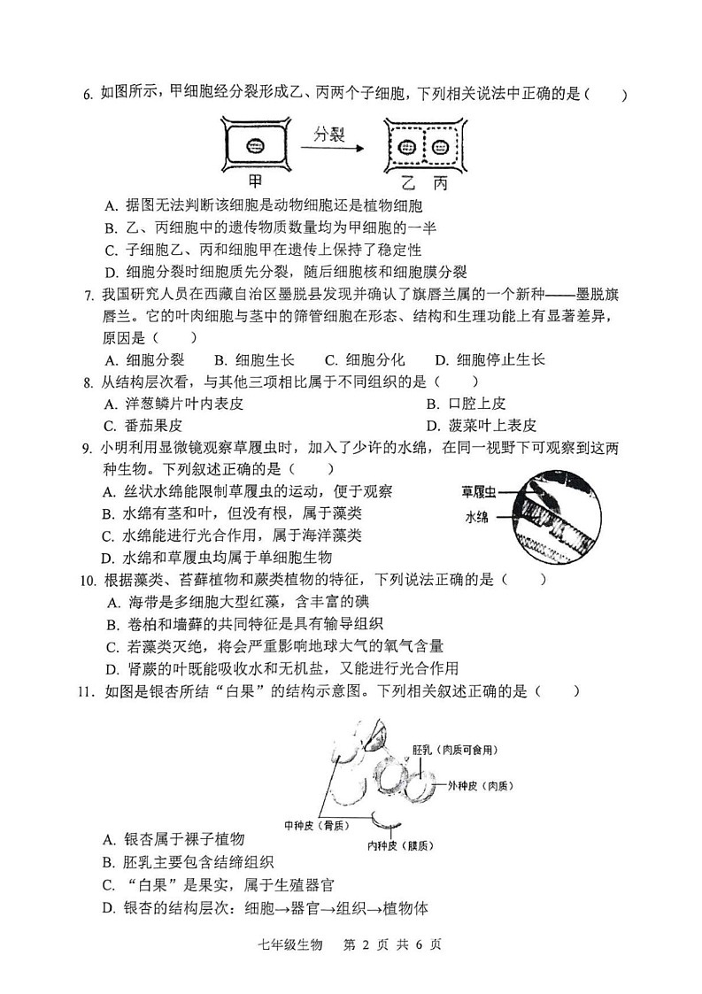 山东省枣庄市山亭区2024-2025学年七年级上学期期末检测生物试卷第2页
