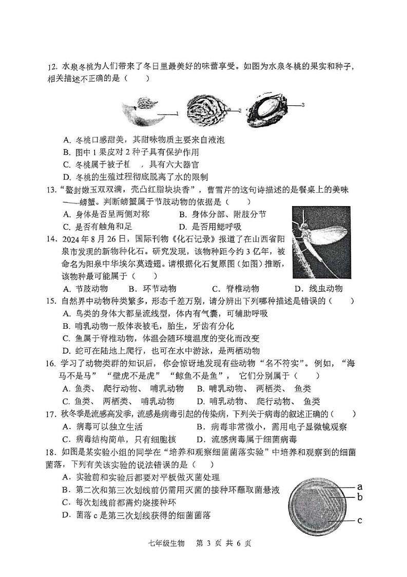 山东省枣庄市山亭区2024-2025学年七年级上学期期末检测生物试卷第3页