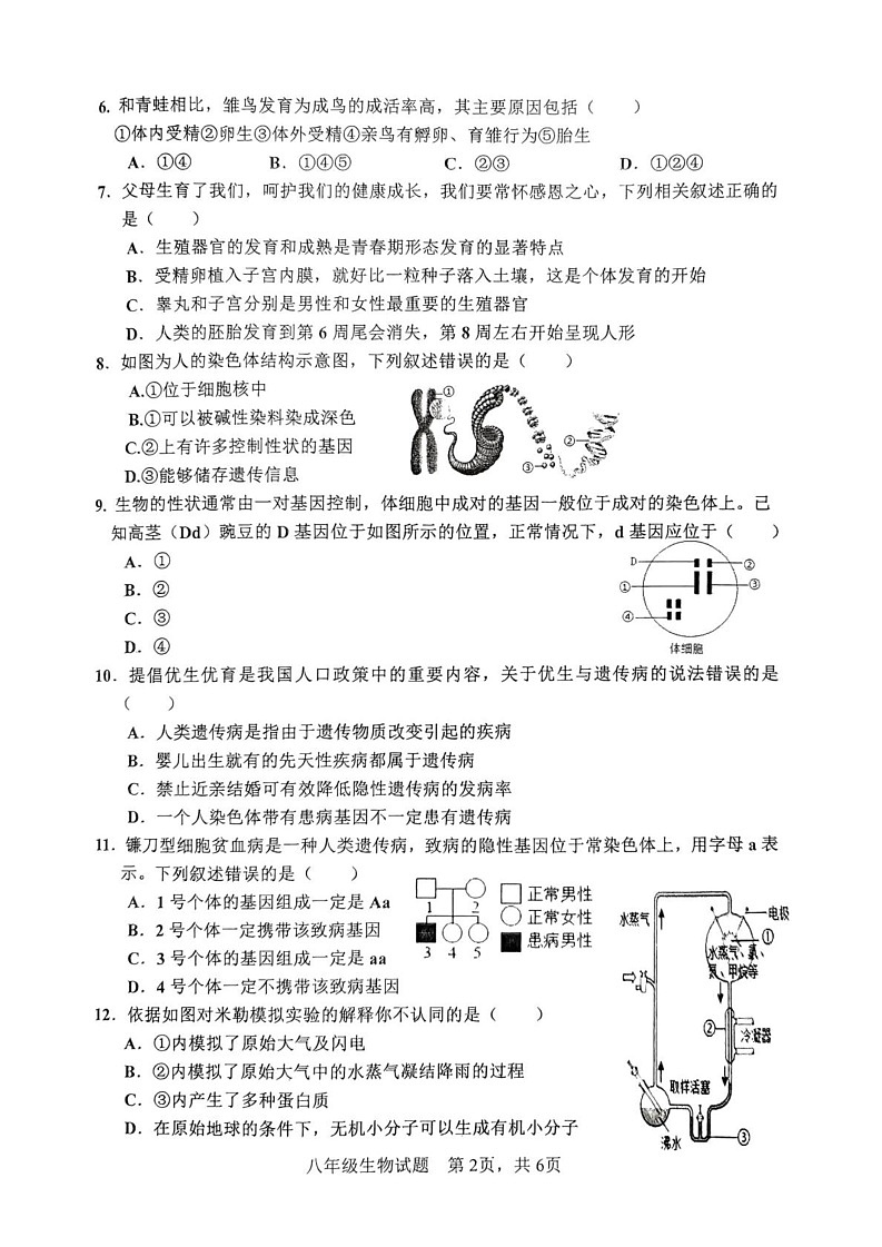山东省枣庄市市中区2024-2025学年八年级上学期期末生物试题第2页