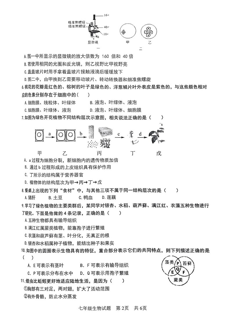 山东省枣庄市市中区2024-2025学年七年级上学期期末生物试题第2页