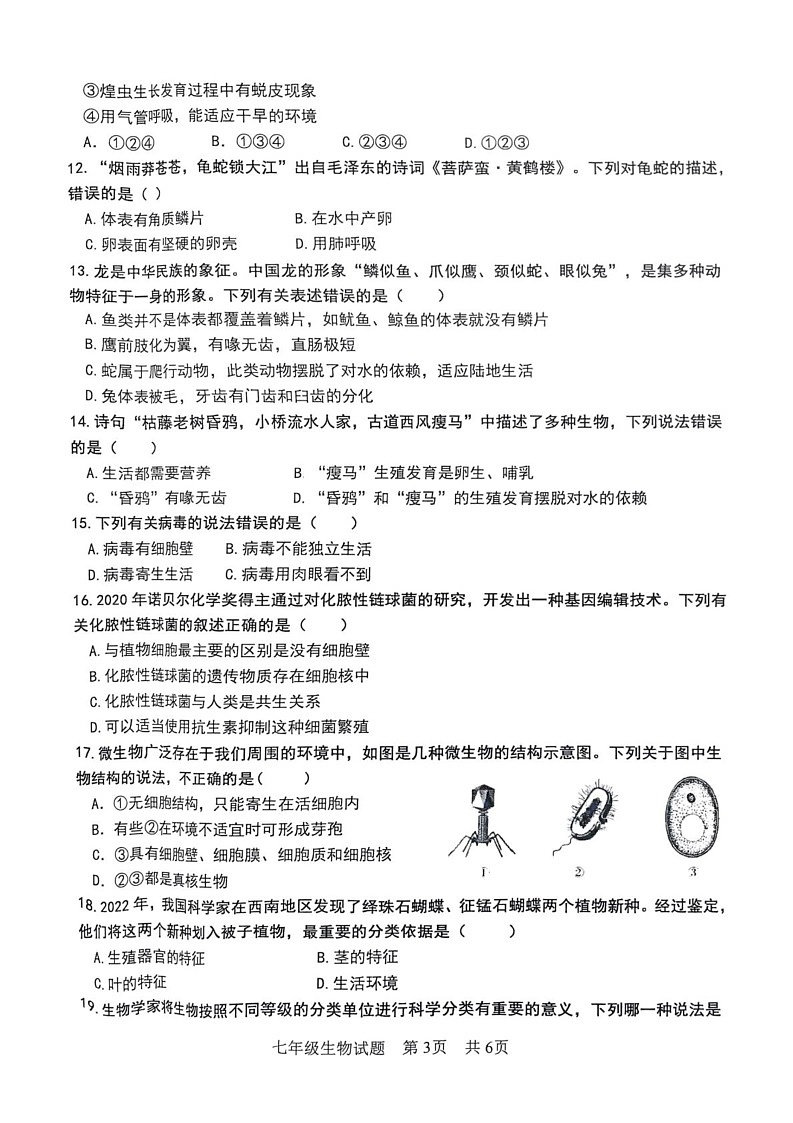 山东省枣庄市市中区2024-2025学年七年级上学期期末生物试题第3页