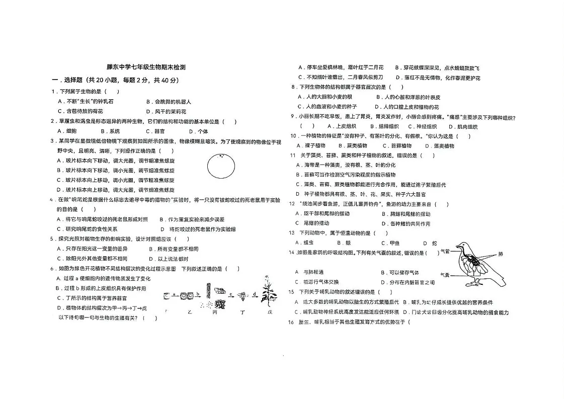 山东省枣庄市滕州市滕东中学2024-2025学年七年级上学期期末检测生物试卷第1页