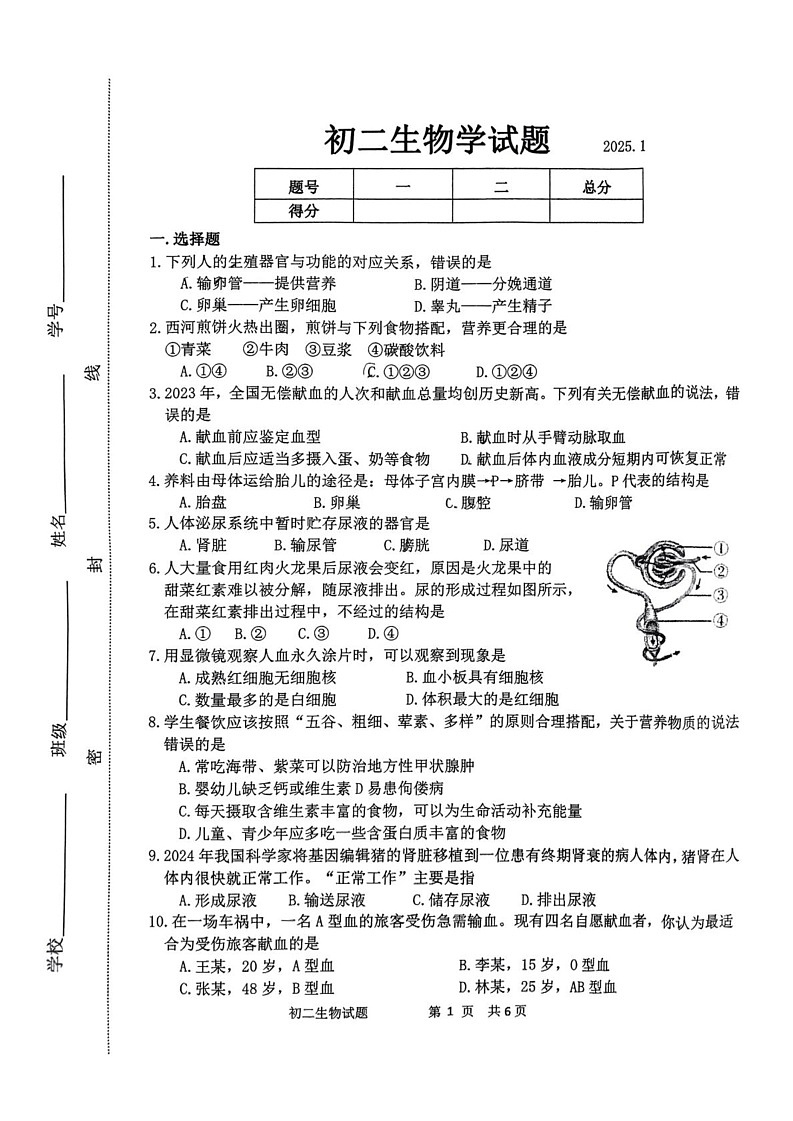 山东省淄博市淄川区2024-2025学年七年级上学期1月期末生物试题第1页