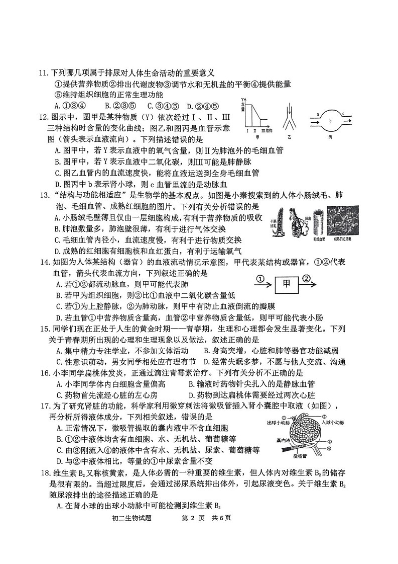 山东省淄博市淄川区2024-2025学年七年级上学期1月期末生物试题第2页