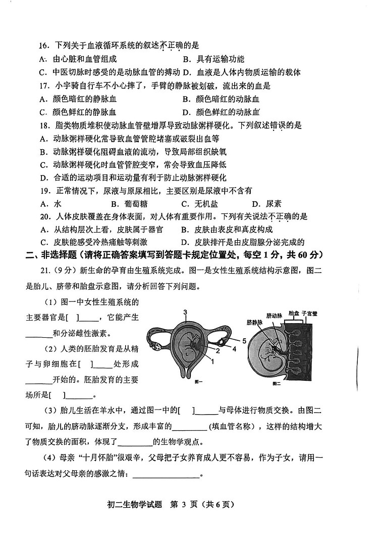 山东省淄博市张店区2024-2025学年七年级上学期1月期末生物试题第3页