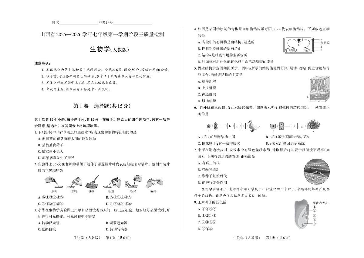 七年级生物（人教版）·试卷第1页