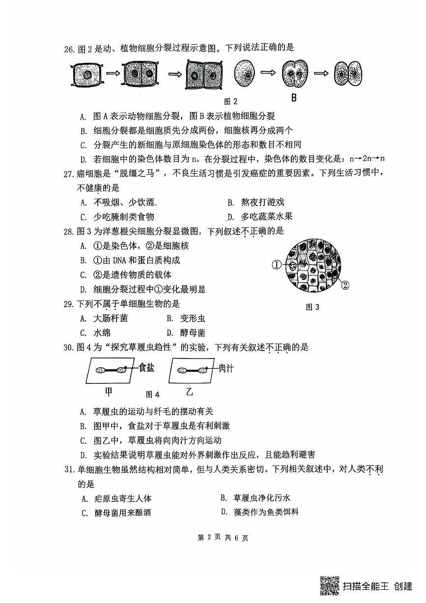 广西南宁市第三十七中学2025-2026学年七年级上学期12月月考生物试卷第2页