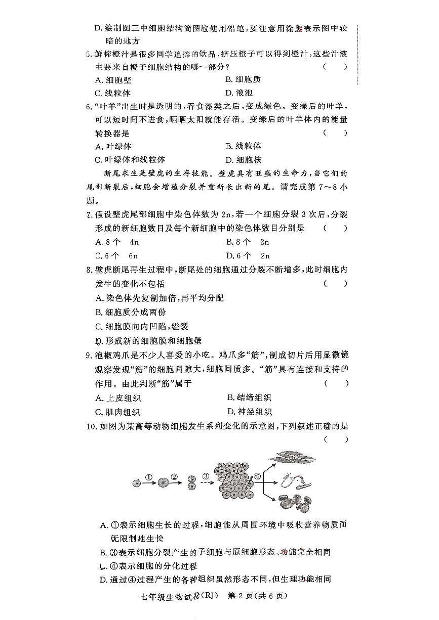 河南省驻马店市汝南县双语学校、清华园学校2025-2026学年七年级上学期12月月考生物试题第2页
