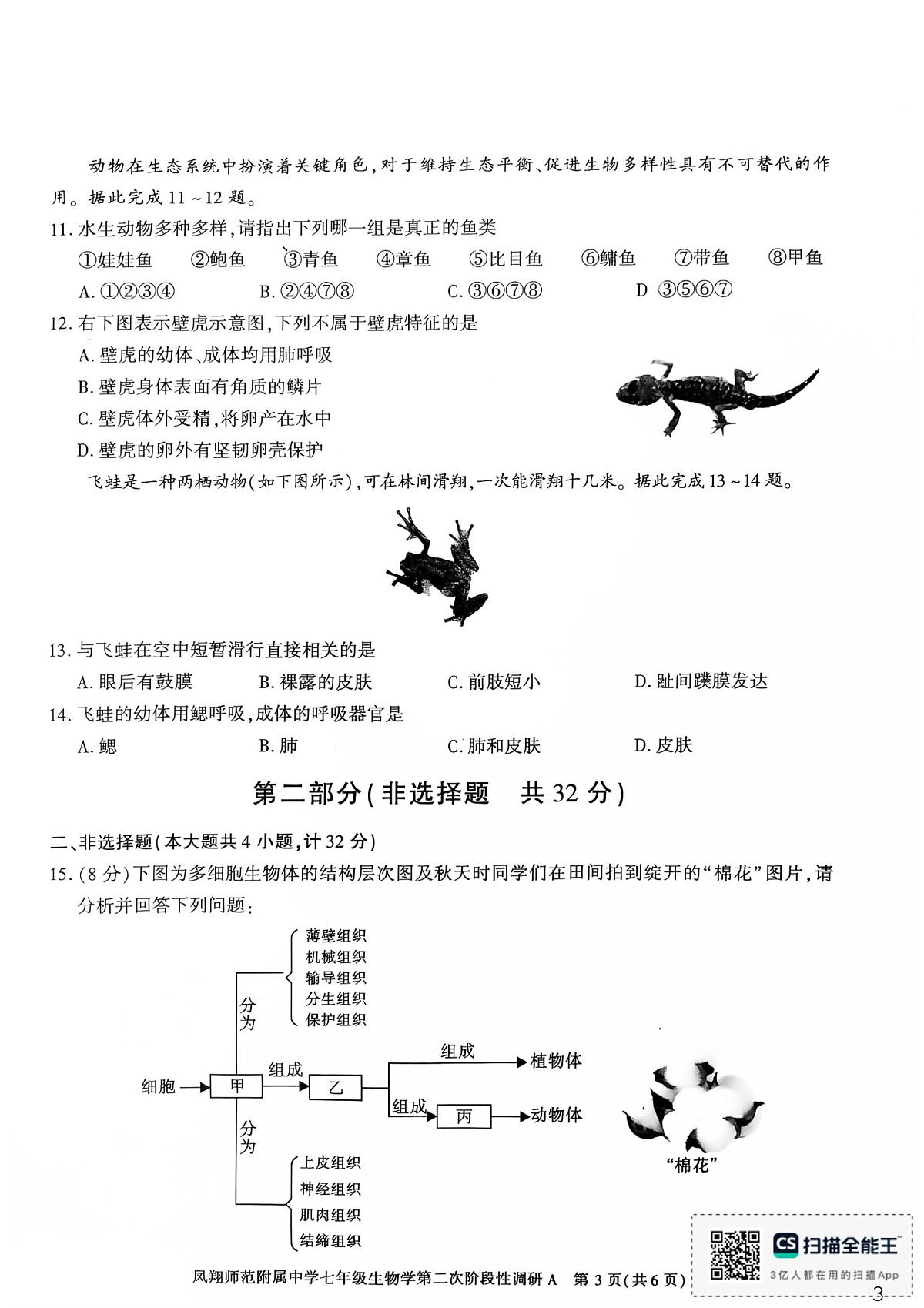 陕西省宝鸡市凤翔师范附属中学2025-2026学年七年级上学期第二次月考生物试题第3页